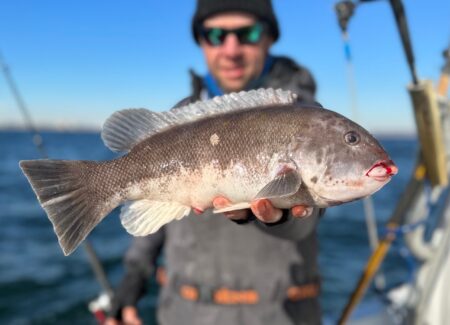Angler holding a tautog blackfish caught while boat fishing on open water.
