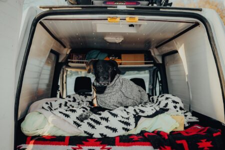 Black dog wearing gray sweater resting on blankets inside converted camper van.
