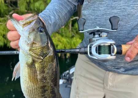 Daiwa Aird 80H Casting Reel, Expert Tested Angler holding large largemouth bass beside baitcasting fishing reel on rod.