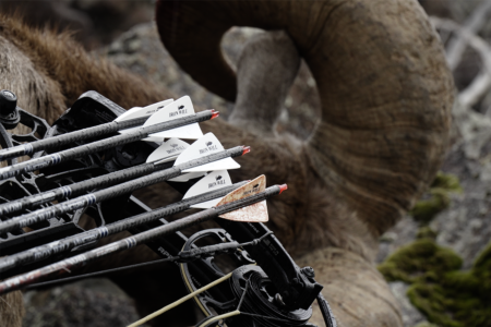 Bow Bootcamp: How to Build Your Own Custom Hunting Arrows Iron Will arrows resting on compound bow beside harvested bighorn sheep horns