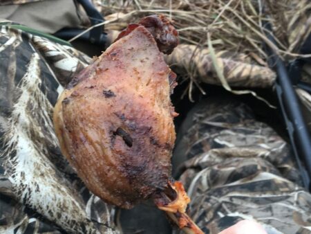 The 10 Most Delicious Gamebirds and How to Cook Them Cooked wild game bird leg held over camouflage hunting gear outdoors