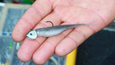 Hand holding a soft plastic swimbait fishing lure with jig head and hook.