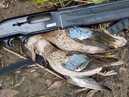 How to Shoot More Teal This Season