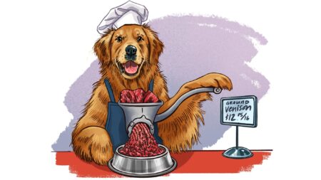 Golden Retriever dog chef grinding venison meat with price sign nearby