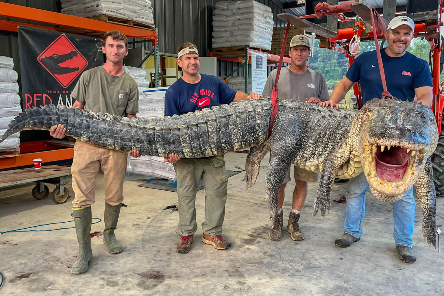 Five of the Biggest Alligators Ever Bagged by Hunters
