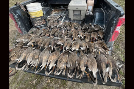 Poachers Busted in Texas After Tripling Daily Duck Limit While Using Prohibited Lead Shot