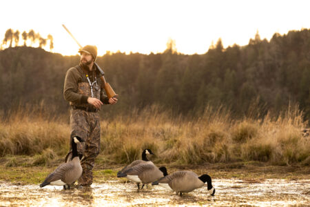 Bonus Geese: How to Hunt February Honkers
