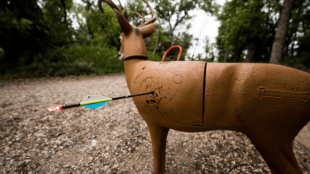 Archery arrow stuck in a 3D foam deer target for practice shooting
