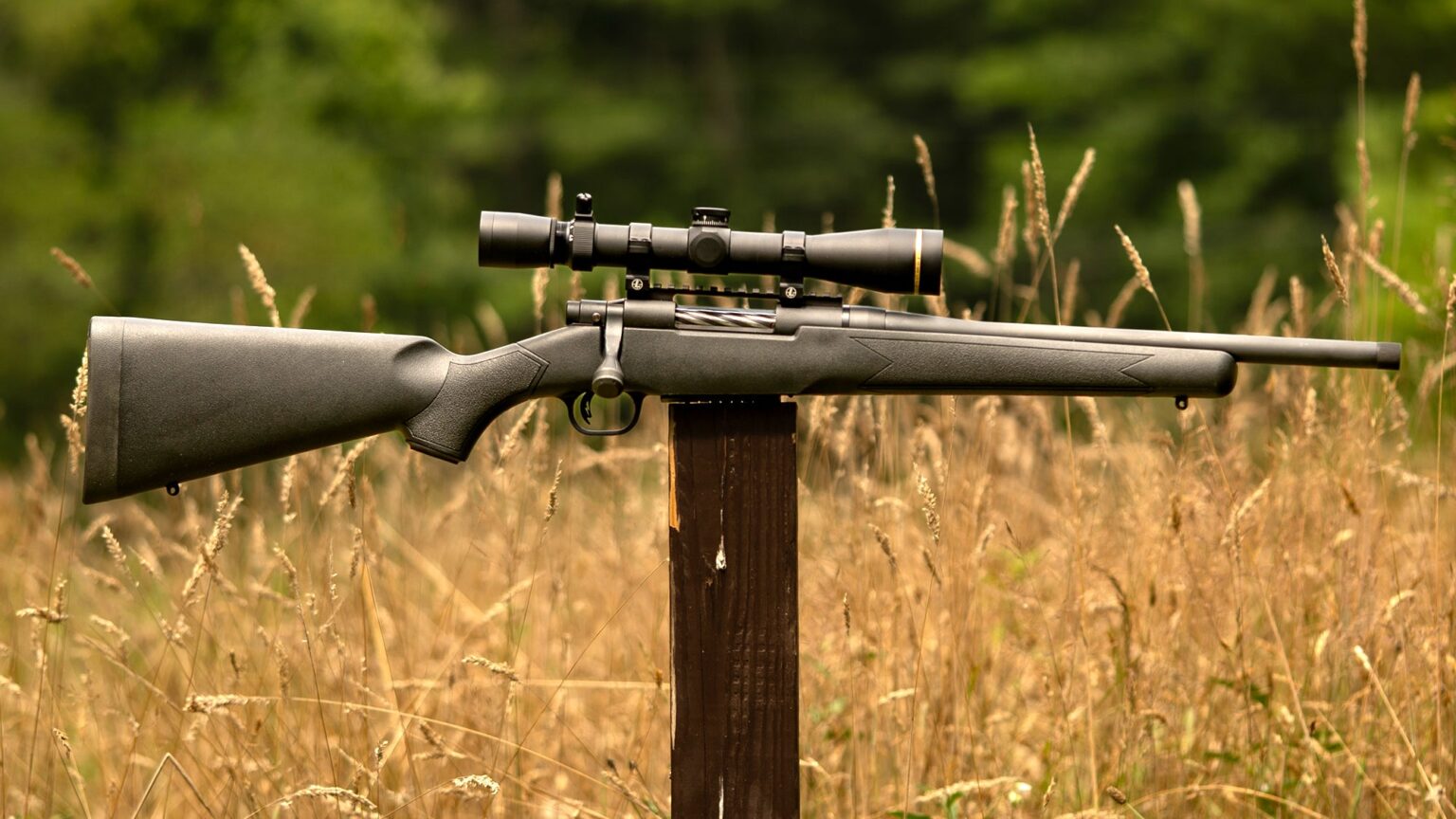 Mossberg Patriot Predator SF Rifle Review—Expert Tested