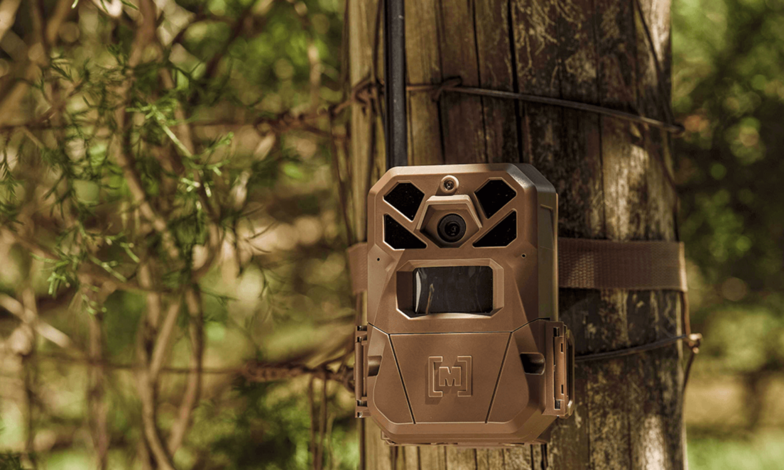The Best Prime Day Trail Camera Deals We’ve Found So Far