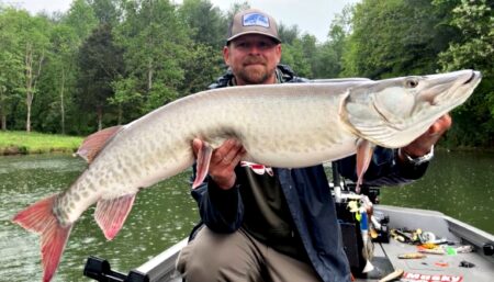 Angler proudly holding a large muskie fish on a river boat