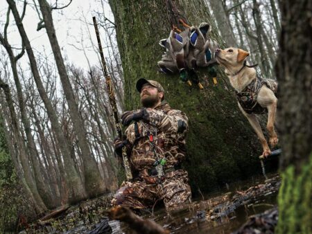 Hunter in camouflage kneeling with shotgun beside Labrador retriever and harvested ducks