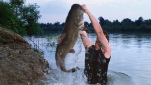 Person standing in river holding large catfish with both hands overhead.