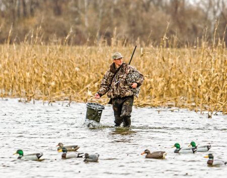 Duck hunter wading through marsh water with decoys and shotgun in wetlands