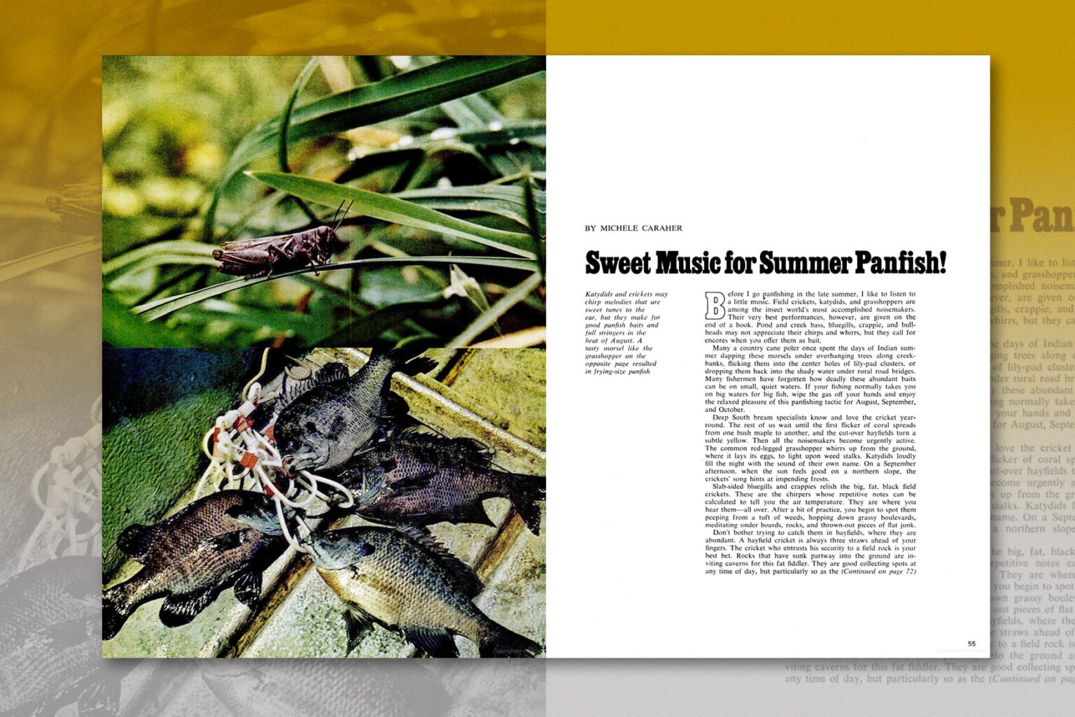 Sweet Music for Summer Panfish