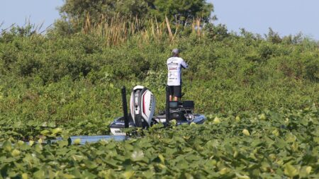 Angler standing on bass boat fishing among lily pads and lush vegetation
