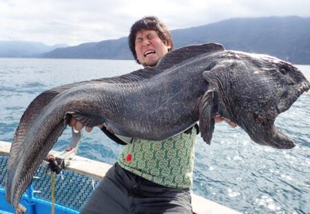 Person struggles to hold massive dark-colored fish caught on a boat