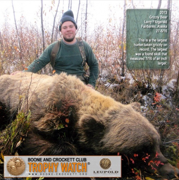 Largest Grizzly Bear Taken By a Hunter in Alaska