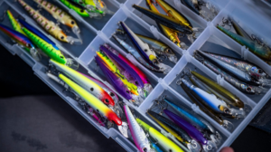 Colorful fishing lures organized in compartments of a clear plastic tackle box