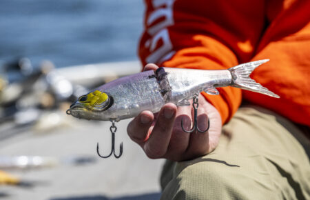 The Best Glide Baits Under $100, Expert Tested