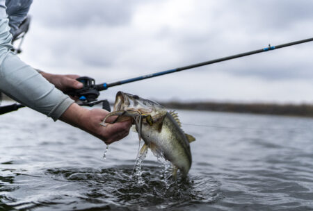 The Pond-Hopper’s Guide to Fishing for Summer Bass Angler holding largemouth bass just caught from lake with fishing rod