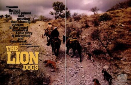 Our Favorite F&S Stories: The Lion Dogs