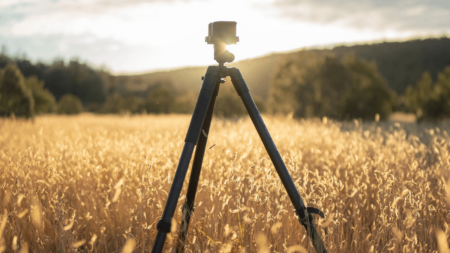 Camera tripod standing in golden wheat field during sunset with hills background