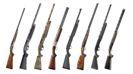 Seven shotguns displayed upright showing various styles including camouflage, wood, and synthetic stocks