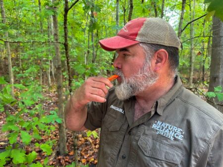 Ways to Signal for Help in the Wilderness Man from Nature Reliance School tasting wild plant in forest setting.