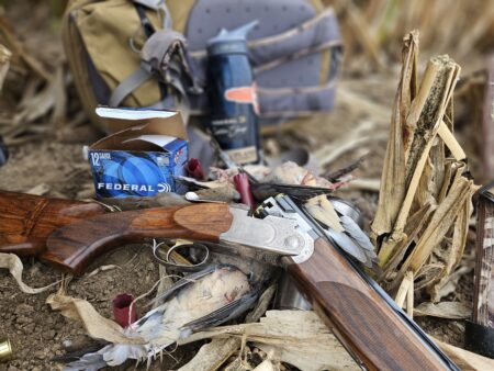 The Gear You Need for Dove Season