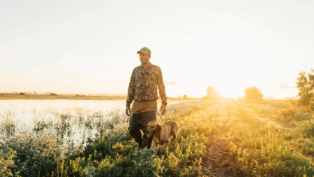 Hunter in camouflage walks with brown Labrador retriever along golden sunset wetlands path.