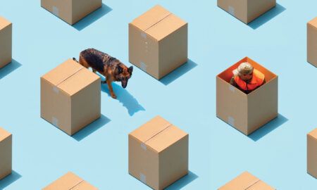 The Sniff Test: Ozone Scent Control vs Drug-Sniffing Dog