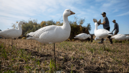 The Best Snow Goose Decoys of 2024