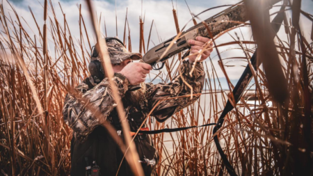 Hunter in camouflage aiming shotgun through tall marsh reeds during waterfowl hunting season