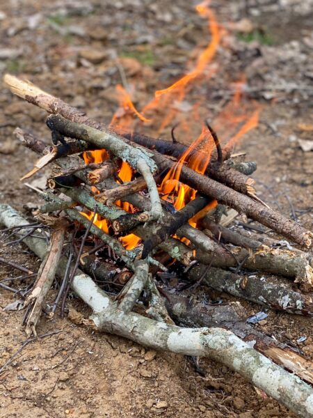 Small campfire burning with stacked wooden sticks on bare forest ground.