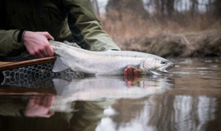 The 10 Best Winter Steelhead Flies