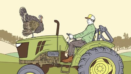 Farmer driving green John Deere tractor with turkey perched on hood