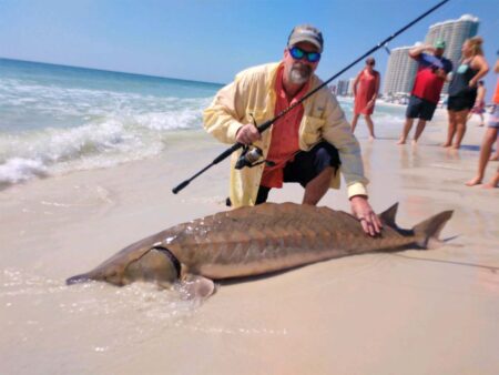 Fisherman kneels beside large sturgeon catch on sunny Florida beach shoreline