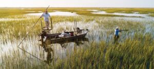 Two hunters in marsh wetlands, one poling a flat boat while another aims a shotgun.