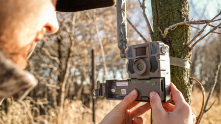 Person installing a wildlife trail camera on a tree in a forest