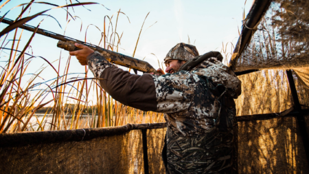 Hunter in camouflage aims shotgun from marsh blind during waterfowl hunting season