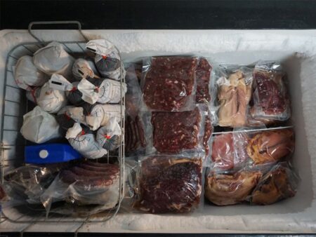 Chest freezer filled with vacuum-sealed meat packages and wrapped food items.