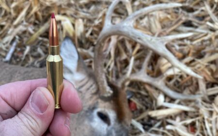 How to Create Your Own Wildcat Cartridge. It’s Easier Than You Think