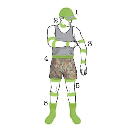 Illustrated man with numbered green highlights showing insect repellent application zones on body