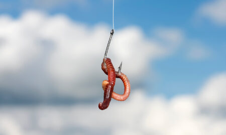 Two red earthworms impaled on a fishing hook against a blue sky.
