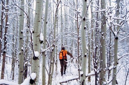 Survival Quiz: 12 Life-and-Death Questions