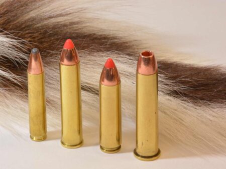 Four rifle cartridges with brass casings displayed against animal fur background