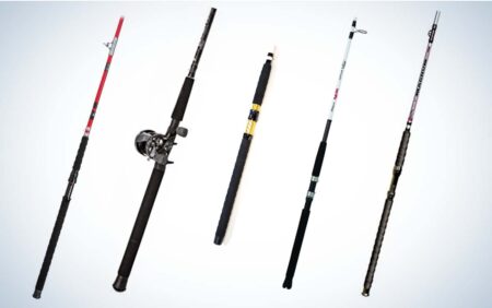 Best Catfish Rods of 2024