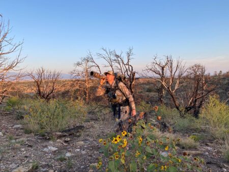 The 5 Best Elk Calls of 2024