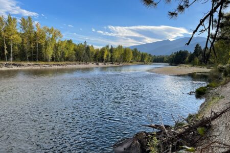 Proposed Rare Earth Mine Would Sit Along the Headwaters of a Legendary Montana Trout Stream